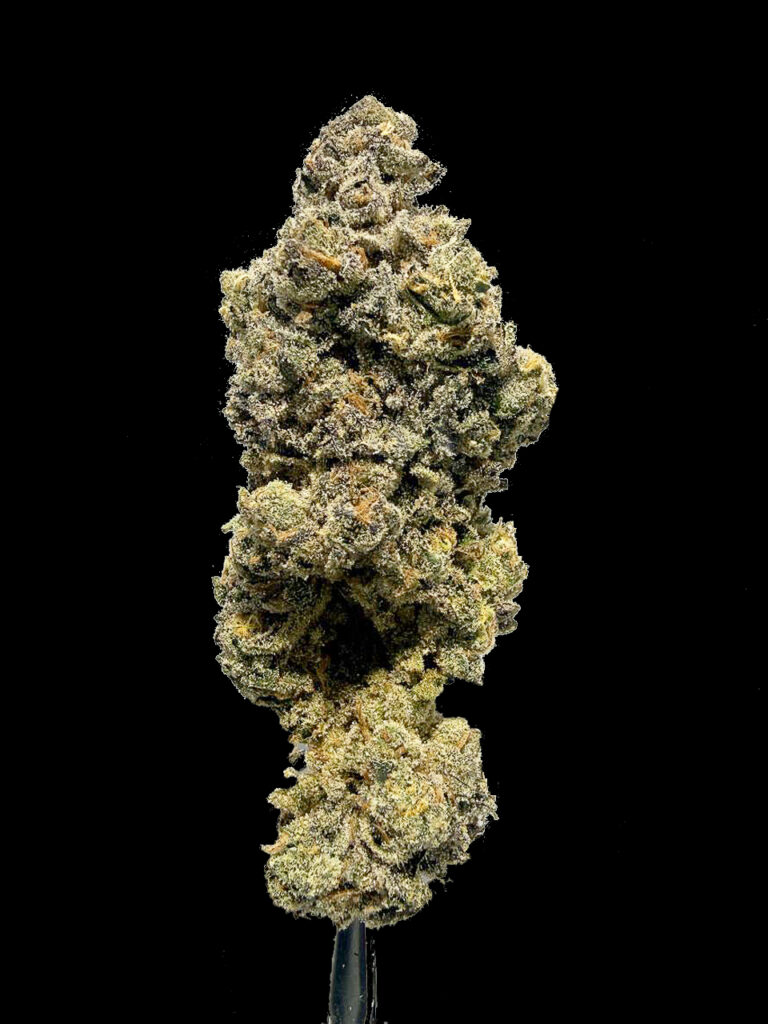 Mimosa x Orange Punch premium cannabis buds green orange pistils frosty trichomes