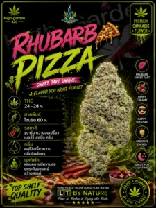 Rhubarb Pizza สายพันธุ์กัญชา พร้อมข้อมูล THC รสชาติ กลิ่น และเอฟเฟกต์