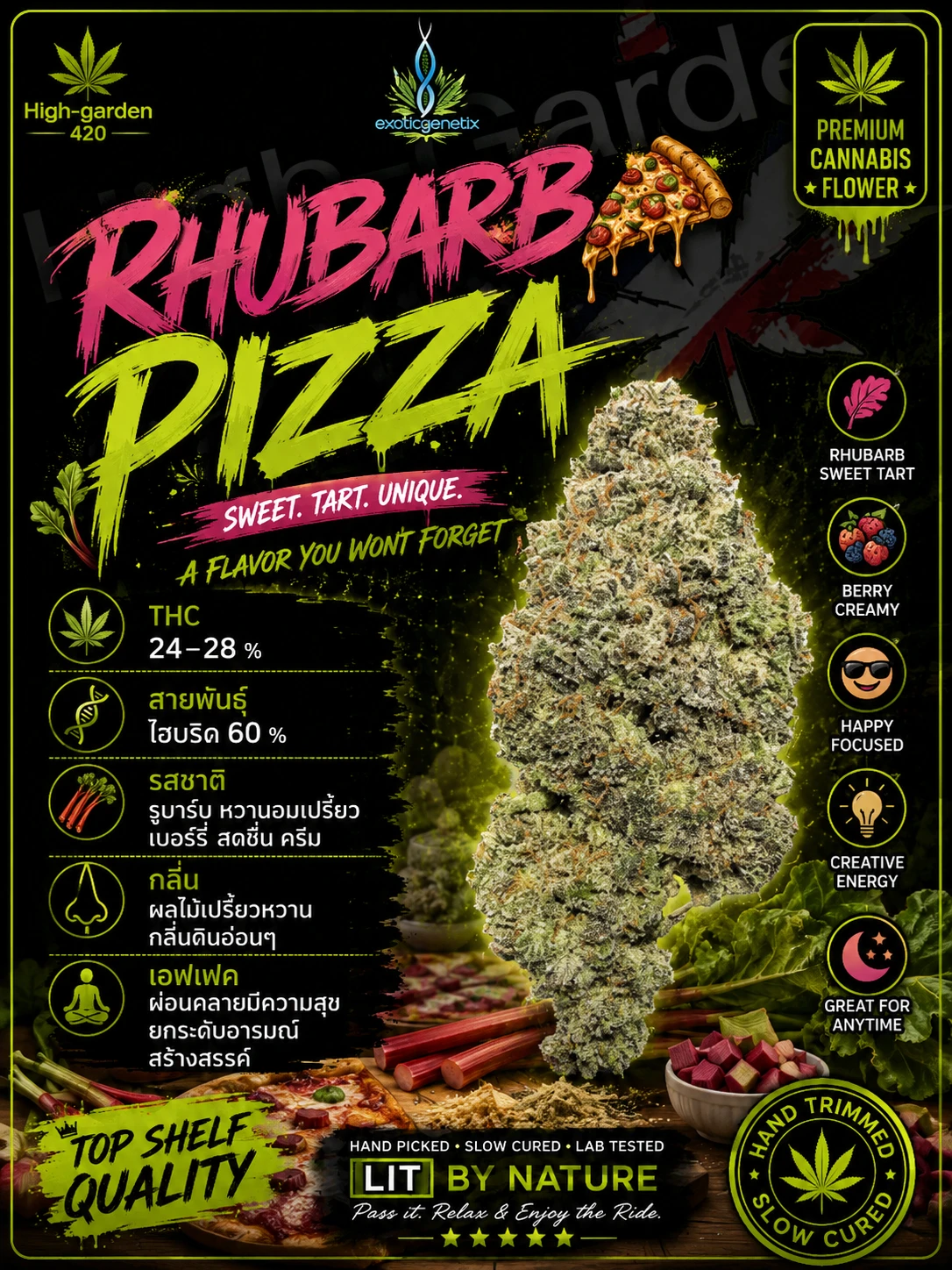 Rhubarb Pizza สายพันธุ์กัญชา พร้อมข้อมูล THC รสชาติ กลิ่น และเอฟเฟกต์