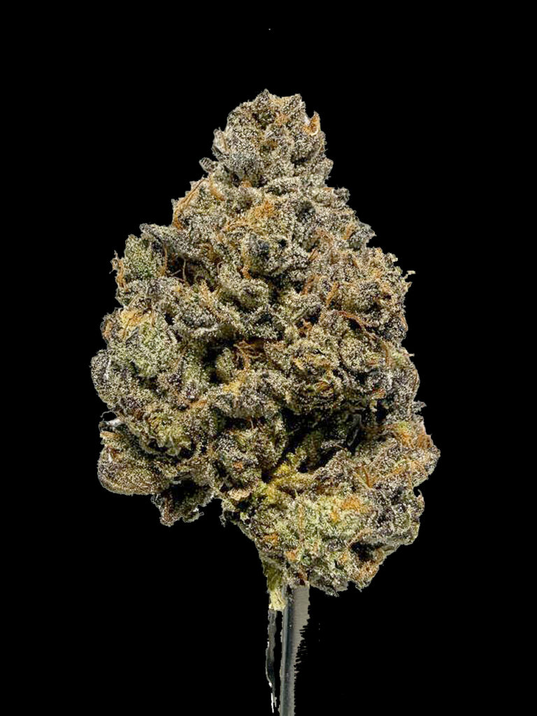 รีวิว Rose Gold Pave strain เอฟเฟคผ่อนคลาย สายพรีเมียม Compound Genetics