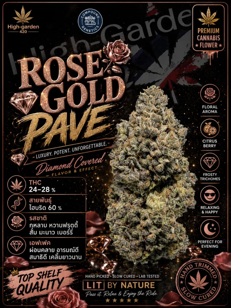 Rose Gold Pave สายพันธุ์กัญชา พร้อมข้อมูล THC รสชาติ และเอฟเฟกต์
