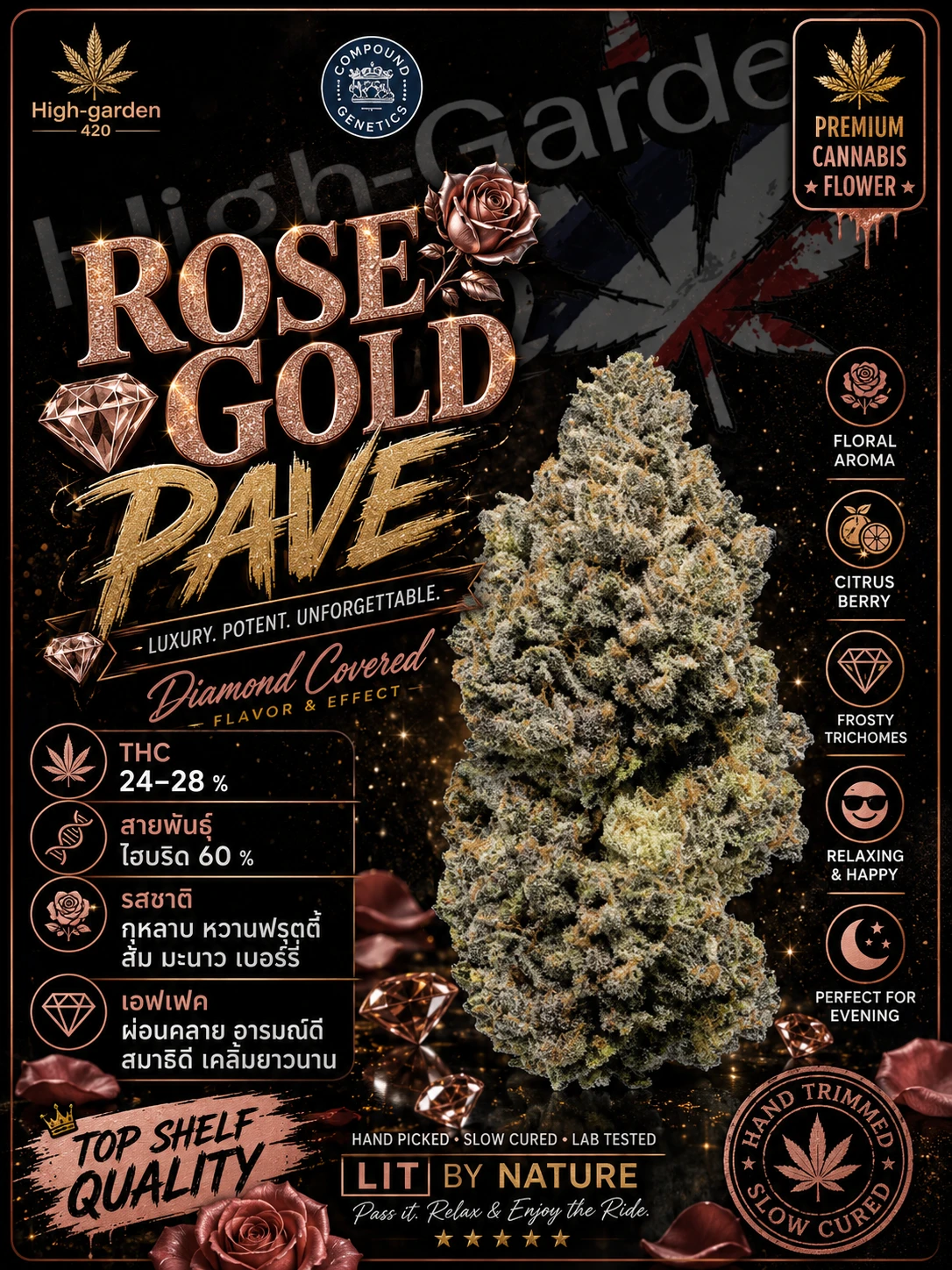 Rose Gold Pave สายพันธุ์กัญชา พร้อมข้อมูล THC รสชาติ และเอฟเฟกต์