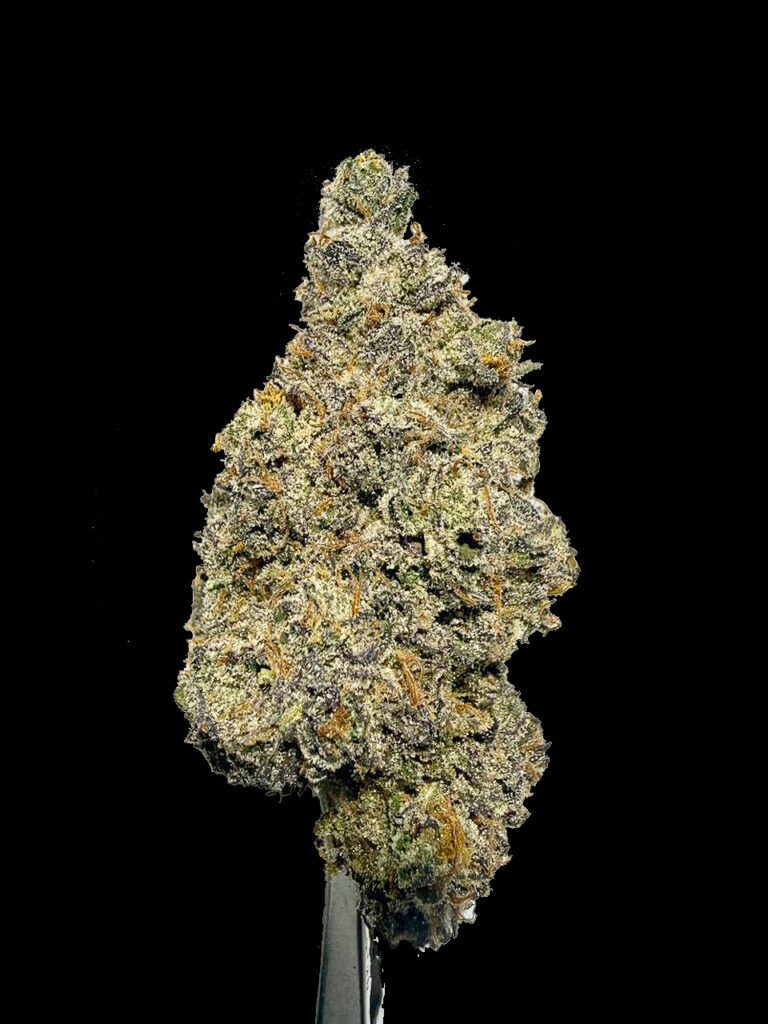 Sex on the Beach strain dense cannabis bud close detail crystal trichomes covered flower sweet fruity aroma