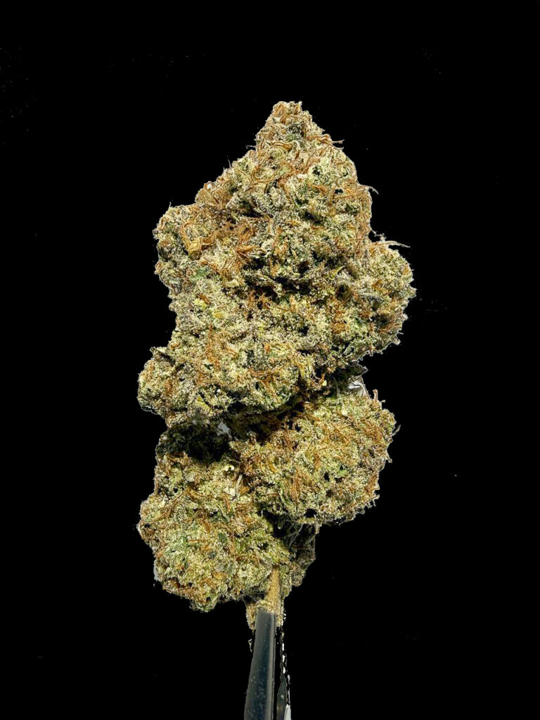 Snoop Dogg OG cannabis full nug isolated black background premium indica bud trichomes