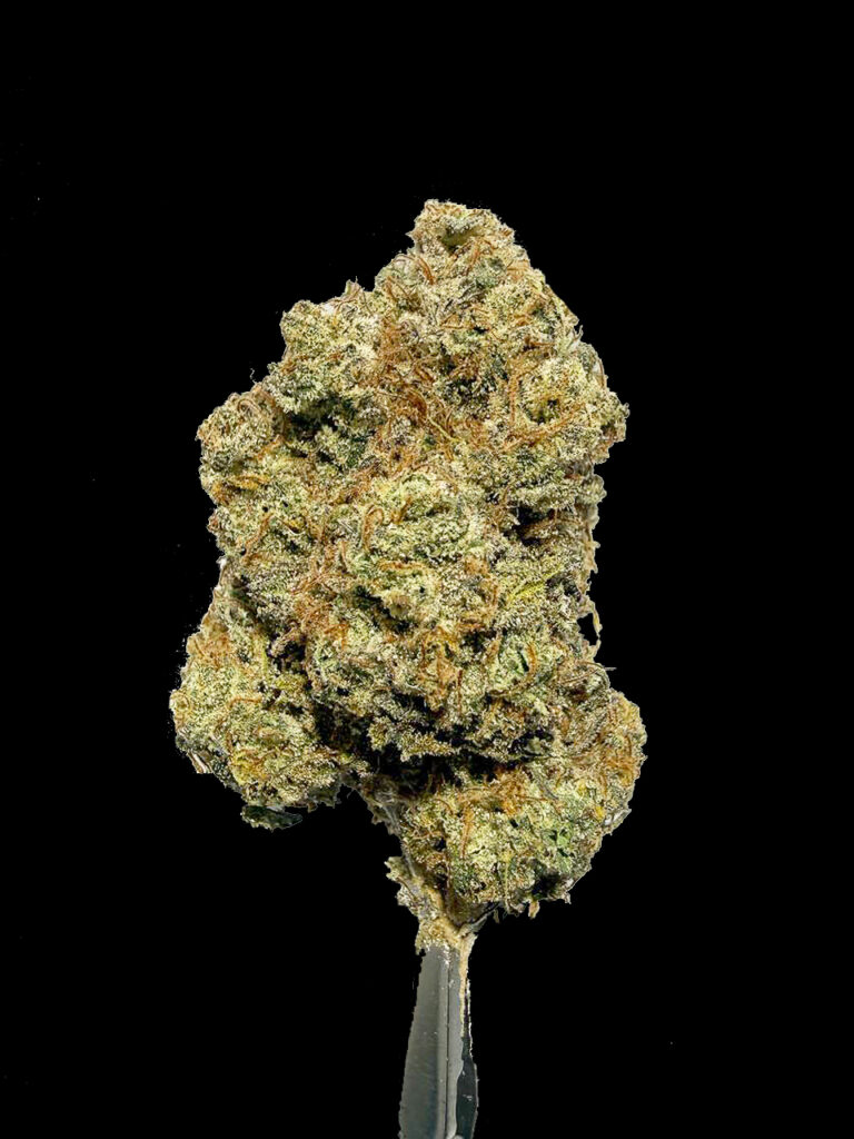 Snoop Dogg OG indica cannabis flower dense buds crystal trichomes sticky premium quality
