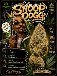 Snoop Dogg สายพันธุ์กัญชา พร้อมข้อมูล THC รสชาติ และเอฟเฟกต์