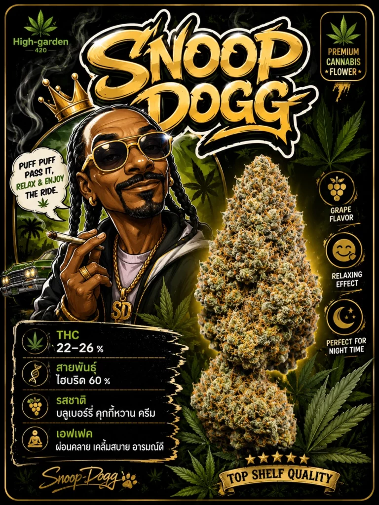 Snoop Dogg สายพันธุ์กัญชา พร้อมข้อมูล THC รสชาติ และเอฟเฟกต์