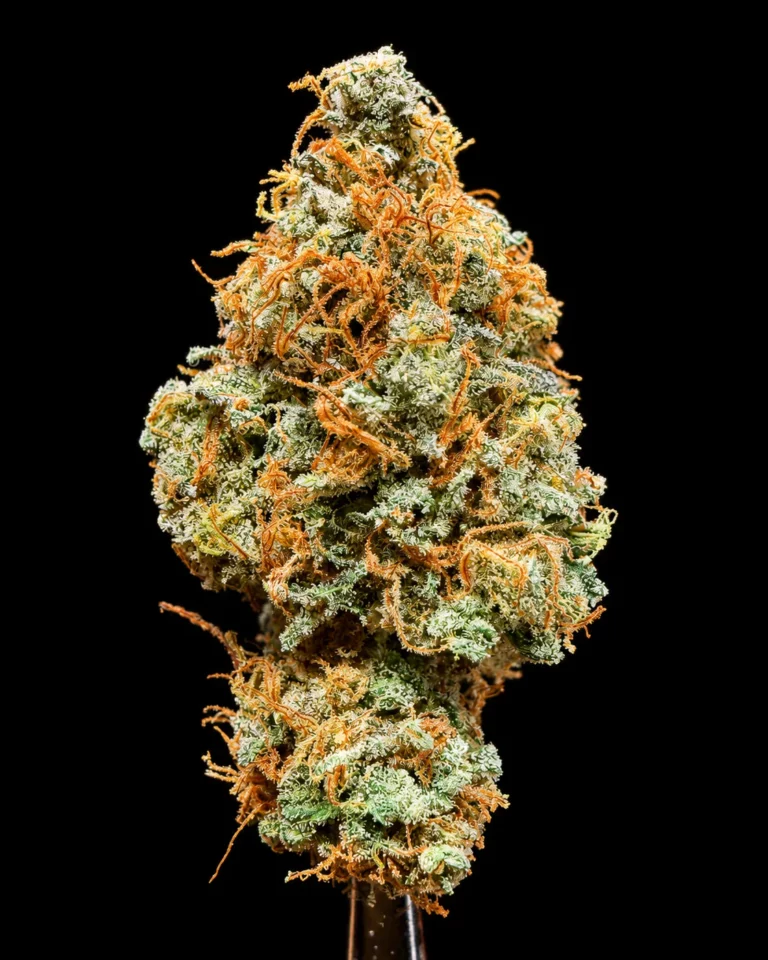 รูปดอกกัญชา mike s coma ของร้านขายกัญชา High-garden420