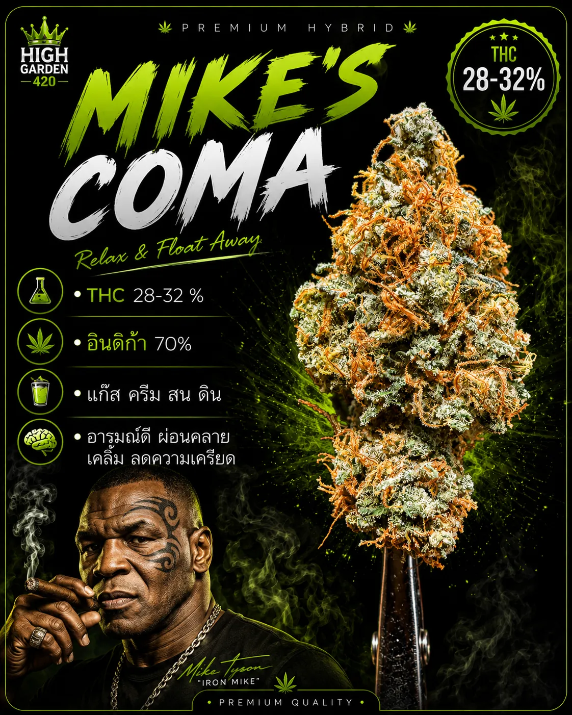รูปหน้าปกบทความสายพันธุ์ mike s coma