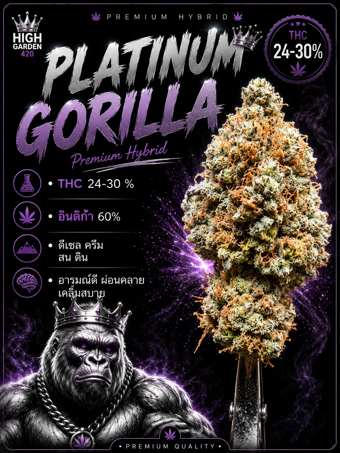รูปหน้าปกบทความของสายพันธุ์ royal gorilla