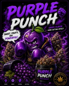Purple Punch สายพันธุ์กัญชา Indica พร้อมการ์ตูนมาสคอต Purple Punch