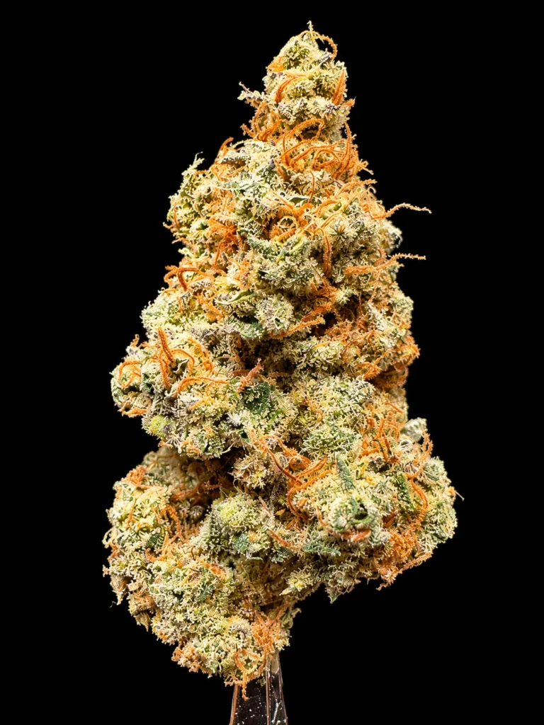 รูปดอกกัญชาของสายพันธุ์ sour diesel