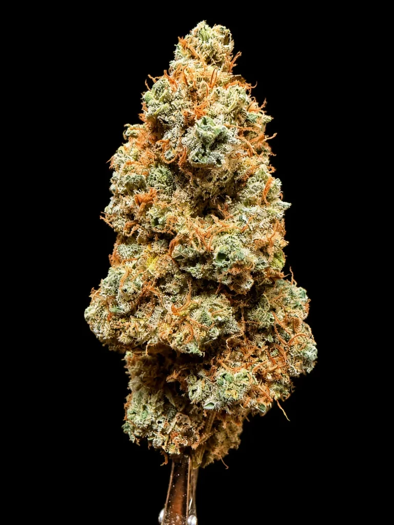 รูปดอกกัญชาของสายพันธุ์ sour diesel