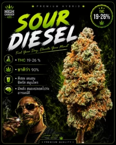 รูปหน้าปกบทความ sour diesel