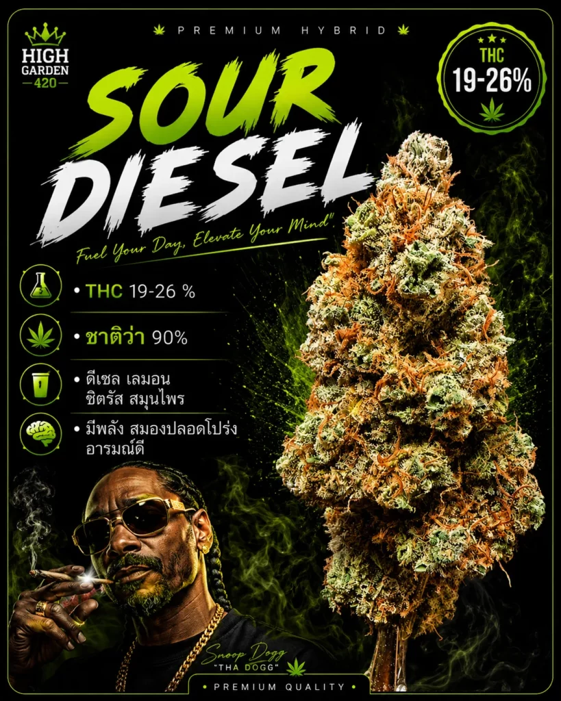 รูปหน้าปกบทความ sour diesel