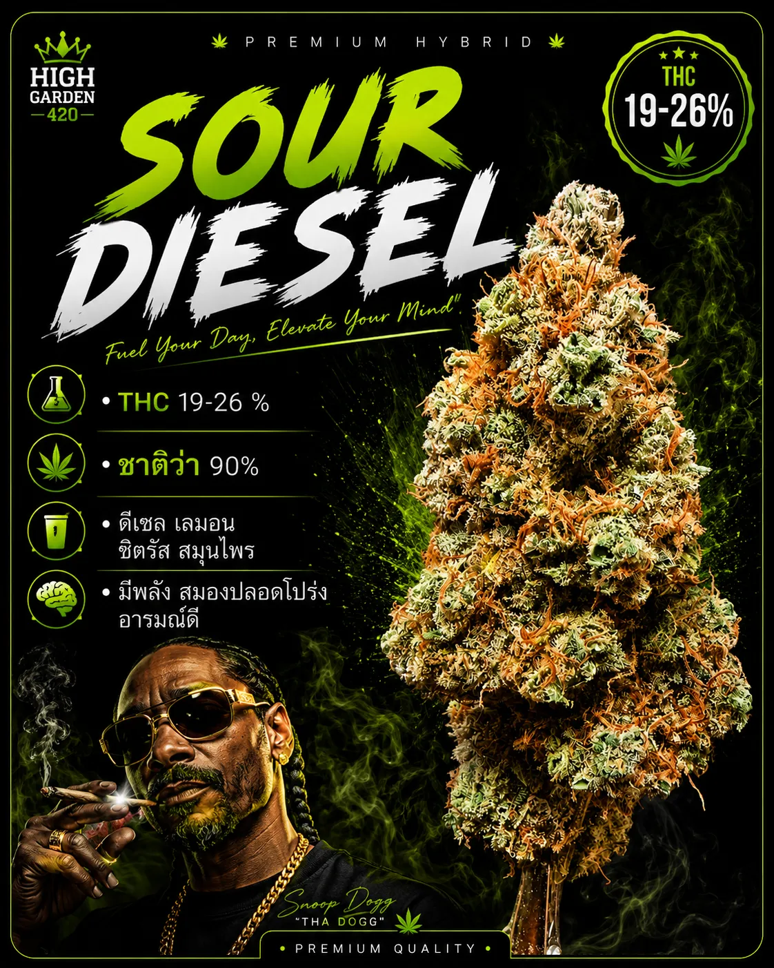 รูปหน้าปกบทความ sour diesel