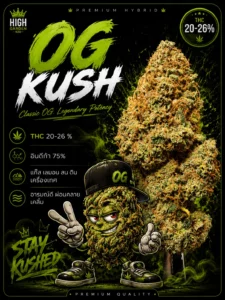 รูปหน้าปก สายพันธุ์ OG Kush strain / High-garden420