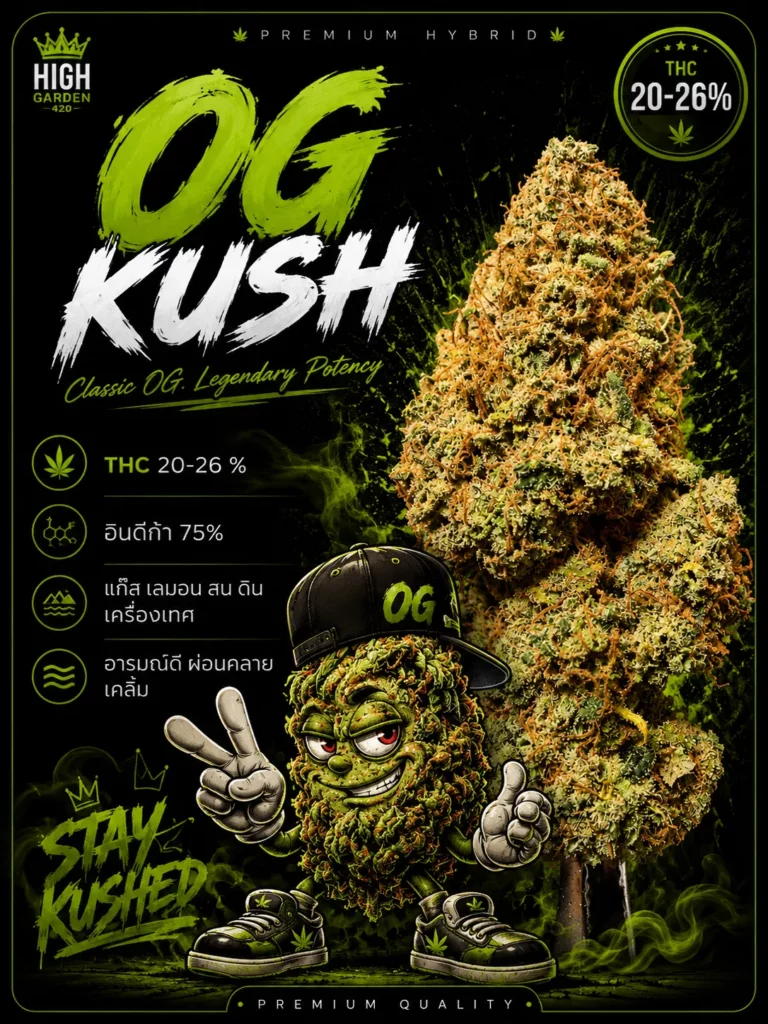รูปหน้าปก สายพันธุ์ OG Kush strain / High-garden420