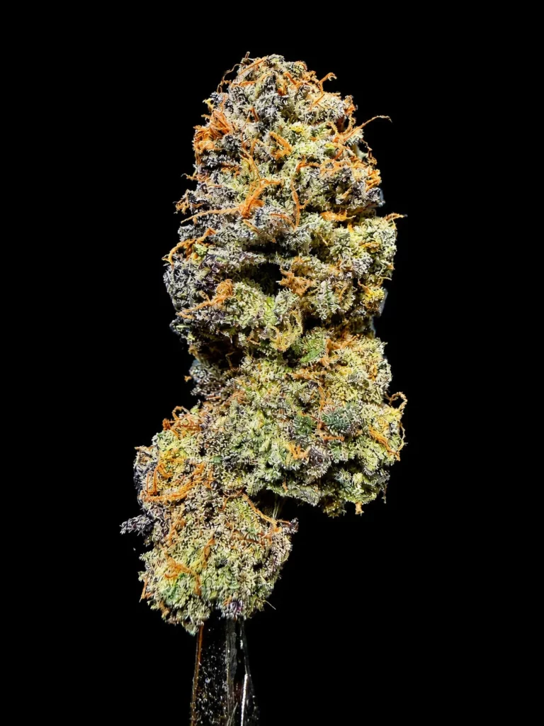 รูปดอกกัญชาพร้อมขาย สายพันธุ์ Permanent marker strain ของร้าน High-garden420