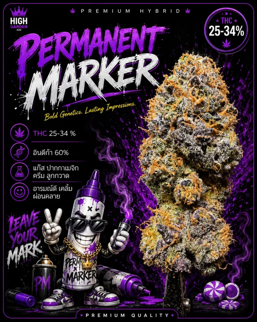 รูปหน้าปกบทความของสายพันธุ์กัญชา Permanent marker strain