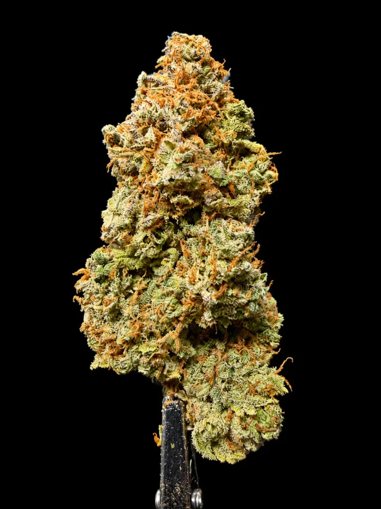 รูปดอกกัญชาพร้อมจำหน่าย สายพันธุ์ Strawberry og cookies จากร้าน High-garden420