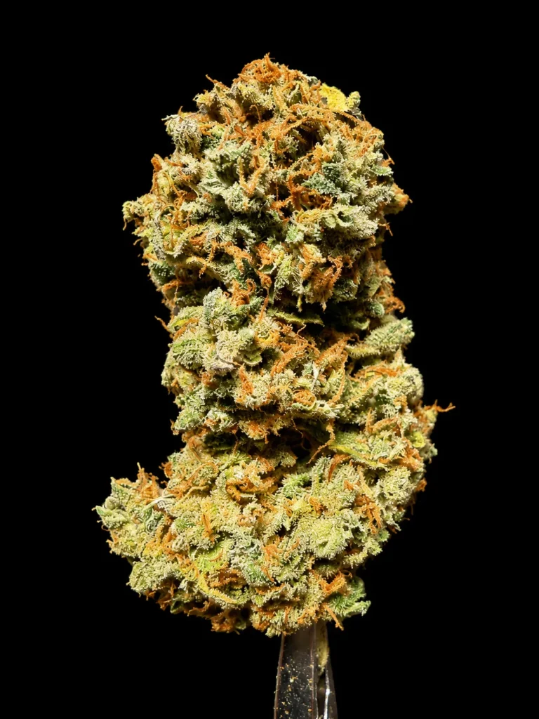 รูปดอกกัญชาพร้อมจำหน่าย สายพันธุ์ Strawberry og cookies จากร้าน High-garden420