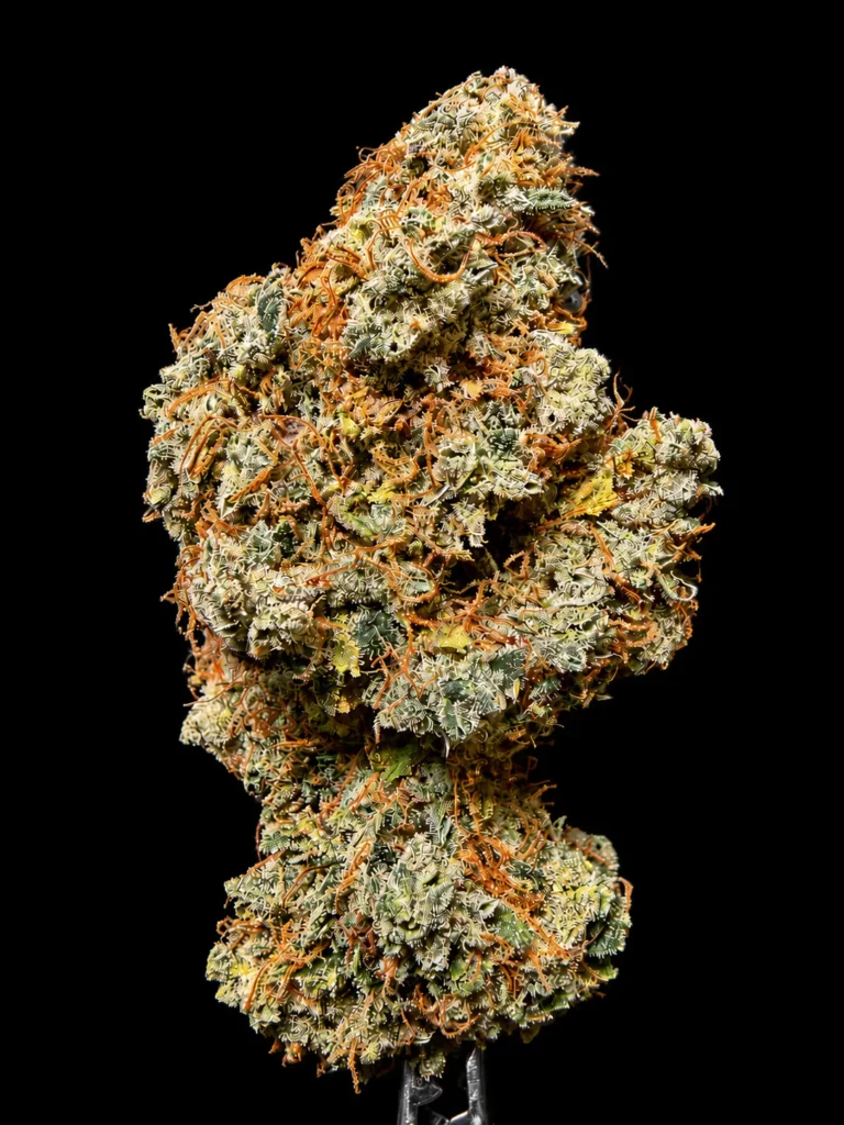 รูปดอกกัญชาพร้อมจำหน่าย สายพันธุ์ OG Kush strain / High-garden420