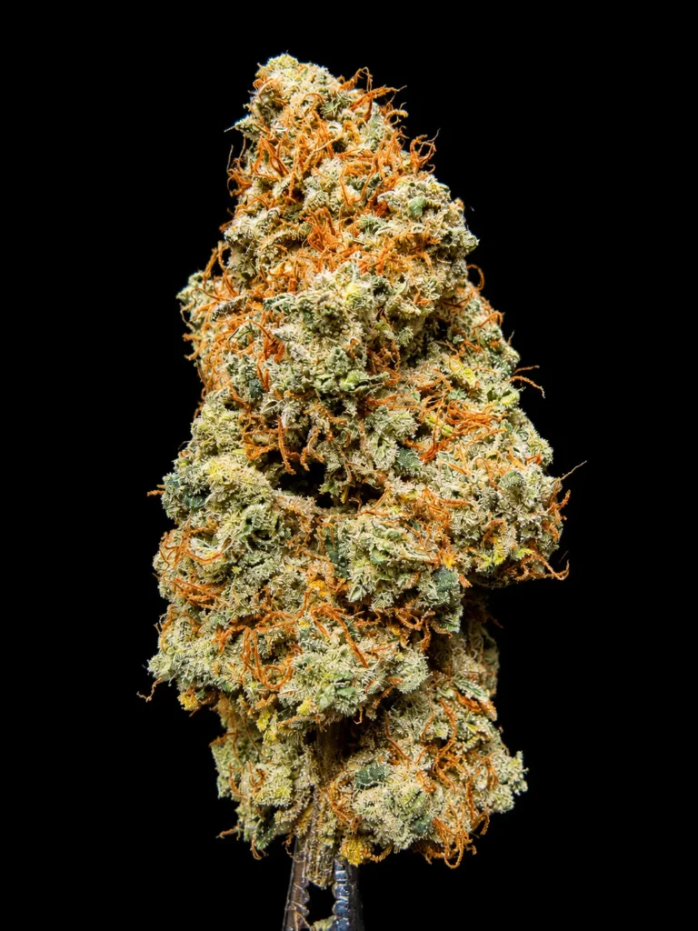 รูปดอกกัญชาพร้อมจำหน่าย สายพันธุ์ OG Kush strain / High-garden420